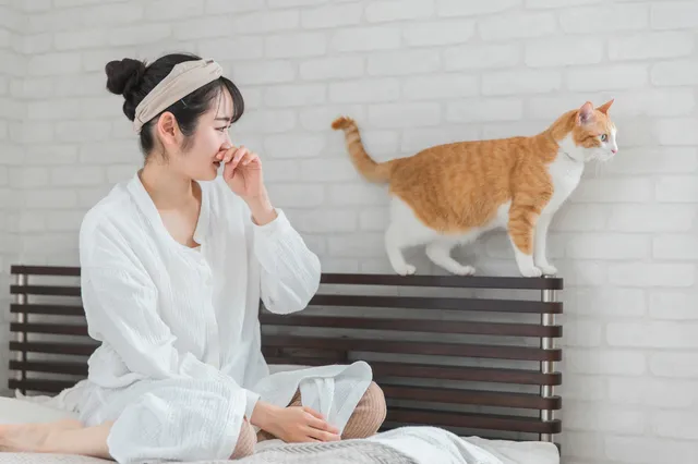 猫の臭いにもう悩まない！原因から根本解決まで徹底解説