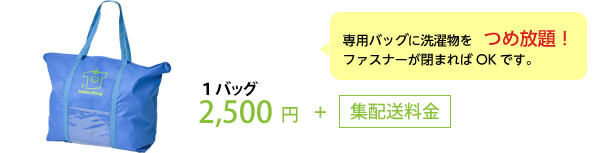 専用バッグに洗濯物をつめ放題！ファスナーが閉まればOKです。1バッグ2,500円＋集配送料金